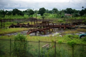 Read more about the article Shell’s Shadow Operations in Ogoniland: Allegations of Continued Oil Exploitation