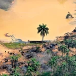 The Niger Delta: A Story Of Oil And Devastation