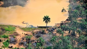 Read more about the article The Niger Delta: A Story Of Oil And Devastation