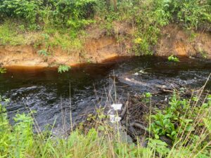 Read more about the article Impact of Oil exploration in Soku and Oyokotoro communities, Rivers State, Nigeria